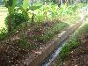 Irrigation Canal